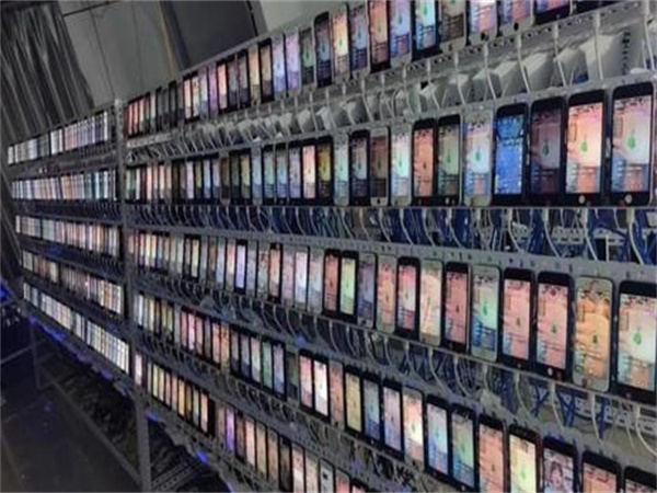 12474557.jpg 126.jpg