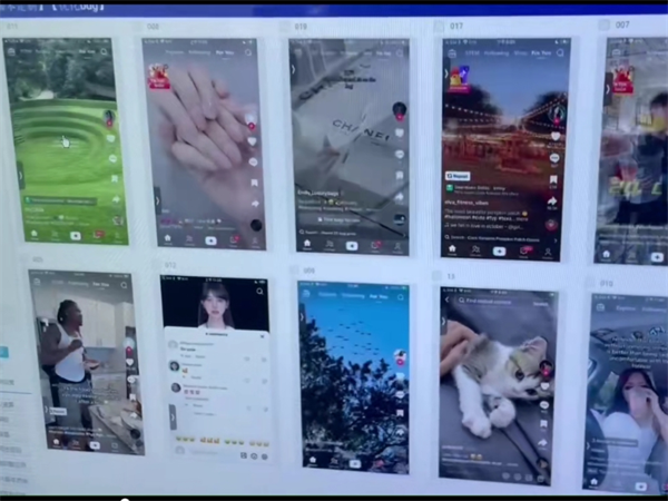 96450959.png 335.png