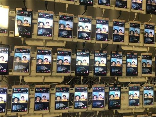 40005953.jpg 130.jpg