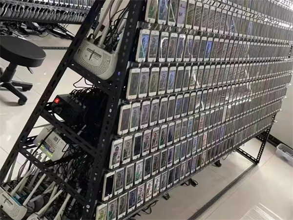 13431604.jpg 118.jpg