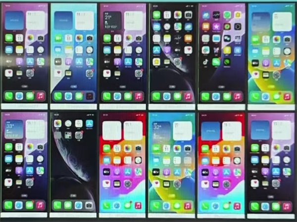 68491774.png 213.png