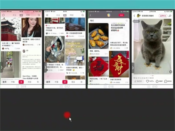 26679190.jpg 350.jpg