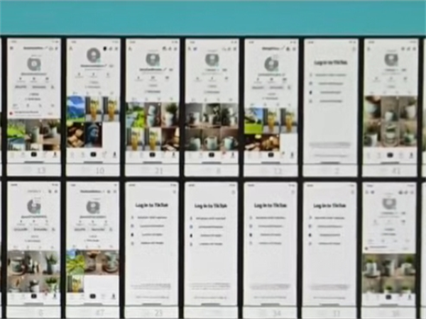 25654777.png 231.png