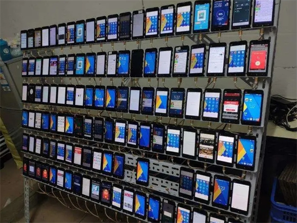 79492701.jpg 113.jpg