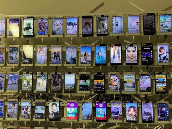 49495185.jpg 121.jpg